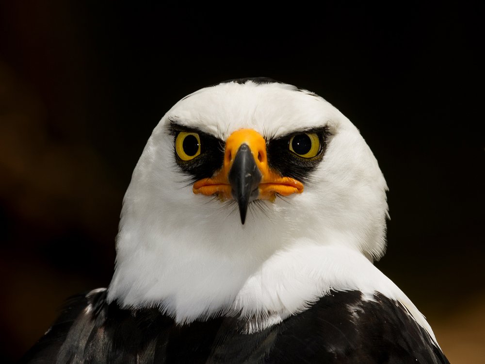 Photograph by Esteban Argerich