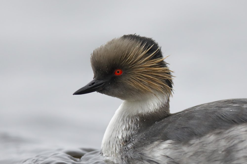 Photograph by Esteban Argerich