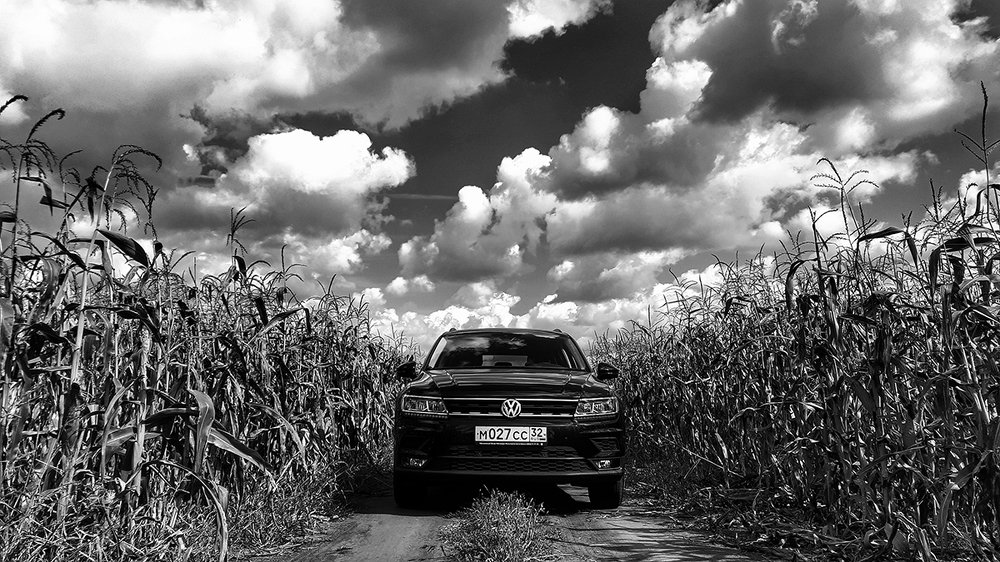 Photograph by Михаил Рассказ