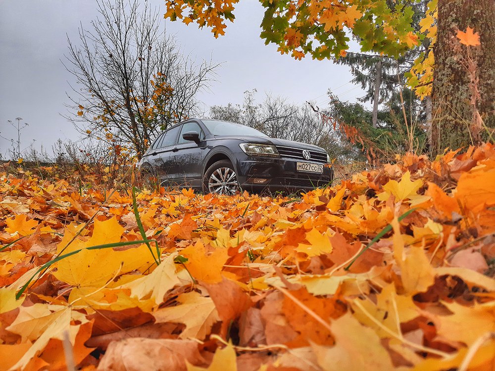 Photograph by Михаил Рассказ