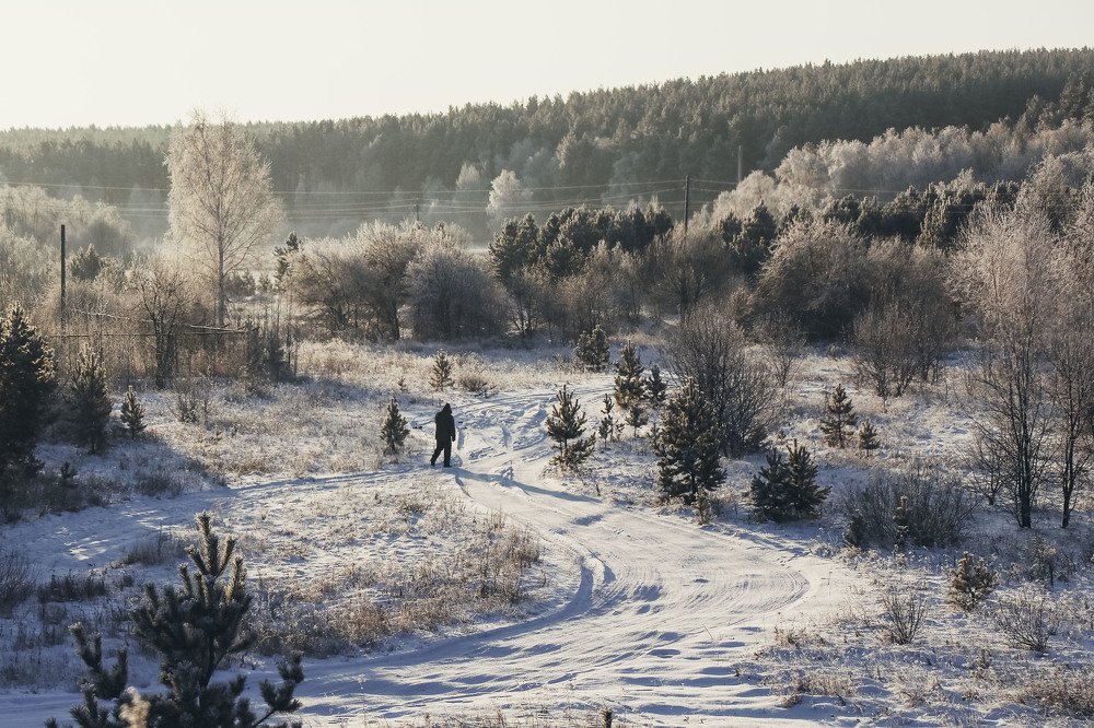Фотография автора Вера Инюшкина