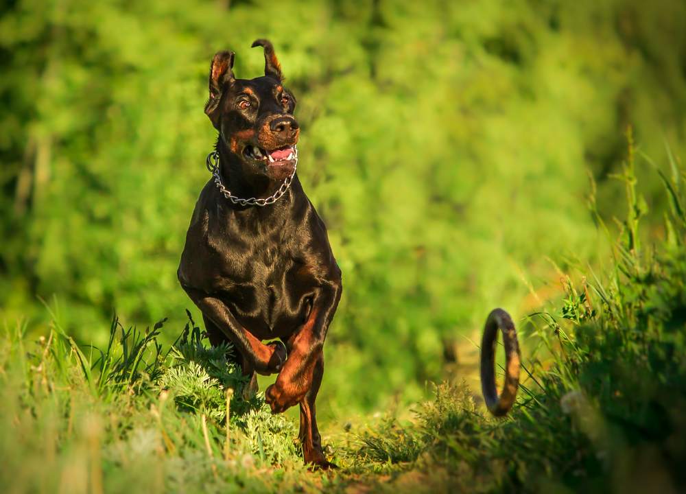 Photograph by Виктория Мамаева