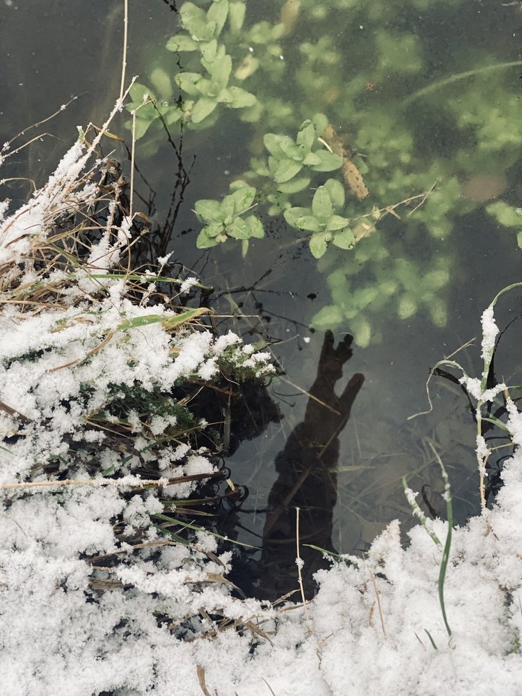 Photograph by Екатерина Рубаненко