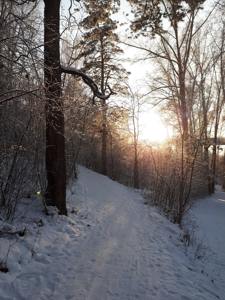 Photograph by Анна Кабиева