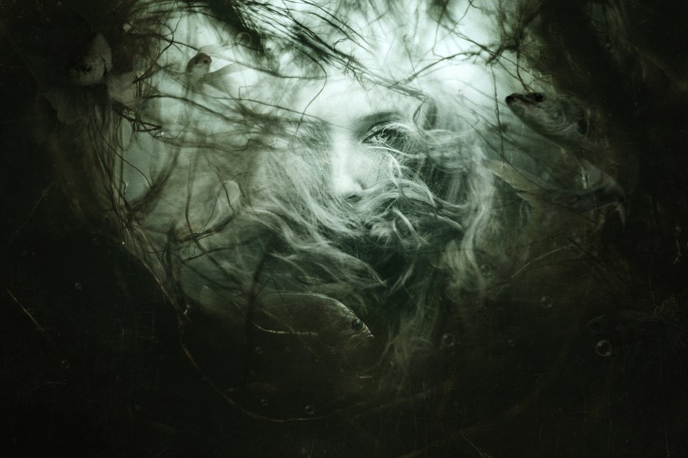 Photograph by Moga Alexandru