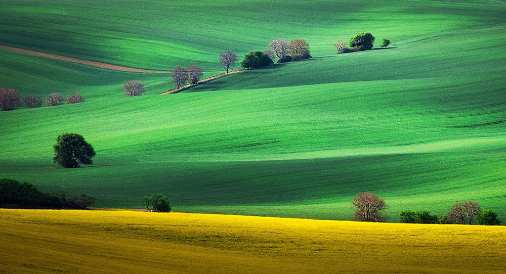 Spring landscape