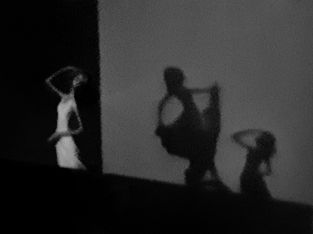 Photograph by Alireza Zaghian