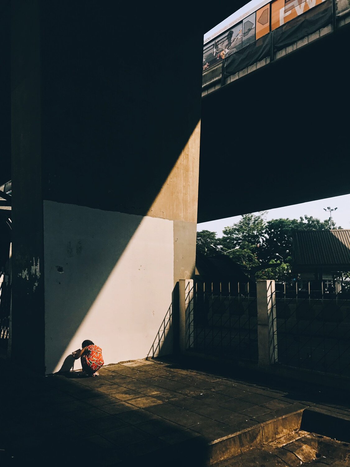 Photo #5395894