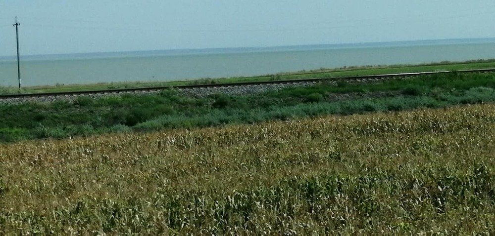 Photograph by Мила