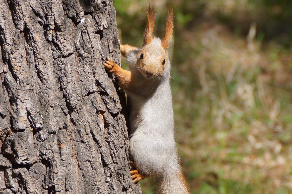 Photograph by Алексей Миронов