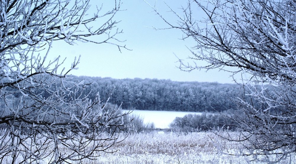 Photograph by Ирина Зима