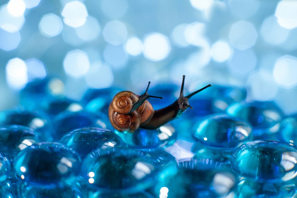 Однажды это всё станет твоим