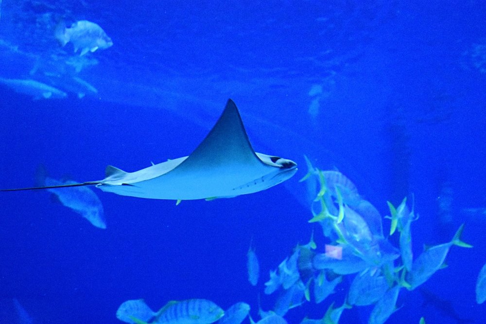 Photograph by Светлана Титова