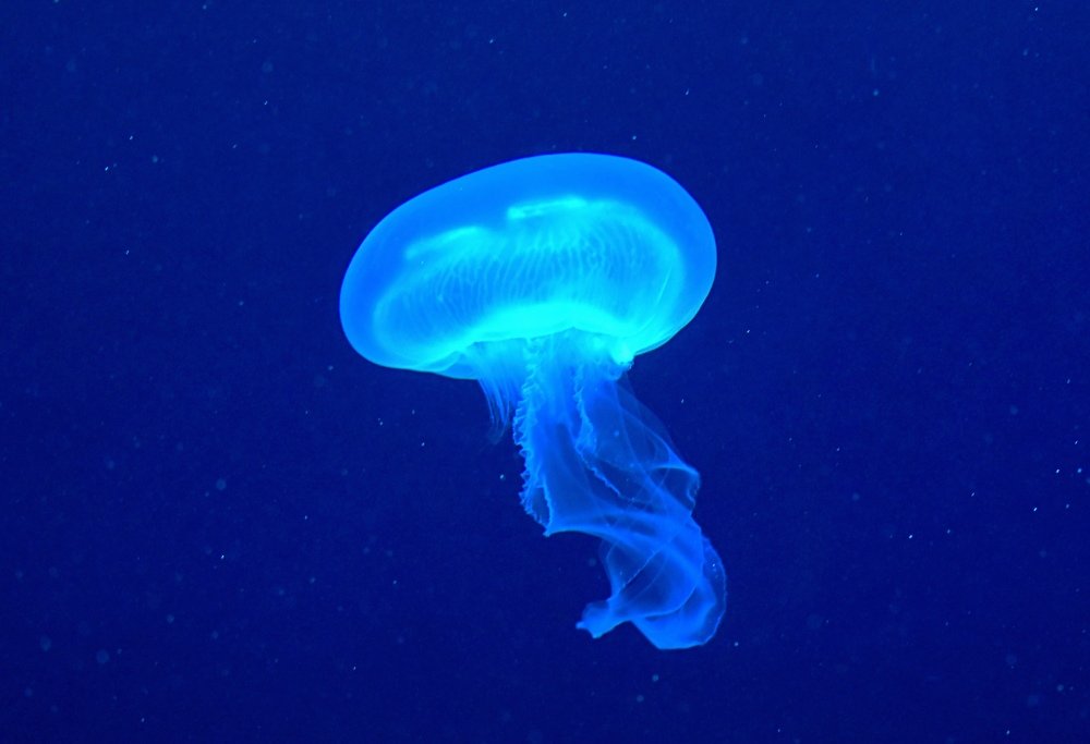 Photograph by Светлана Титова