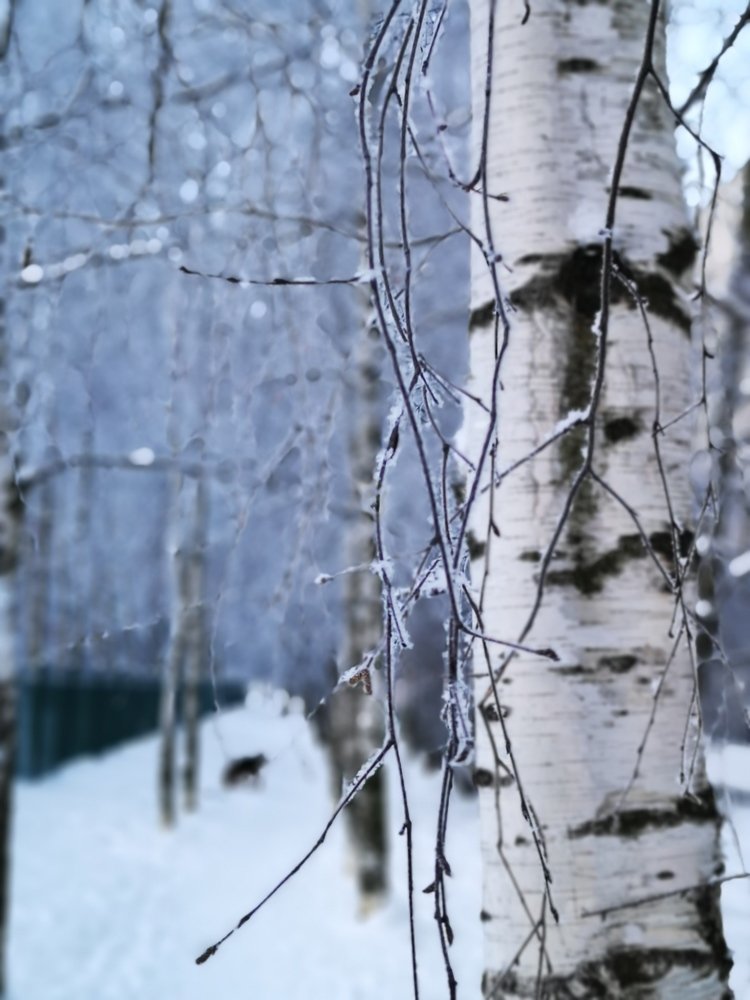 Photograph by Ольга Темкина