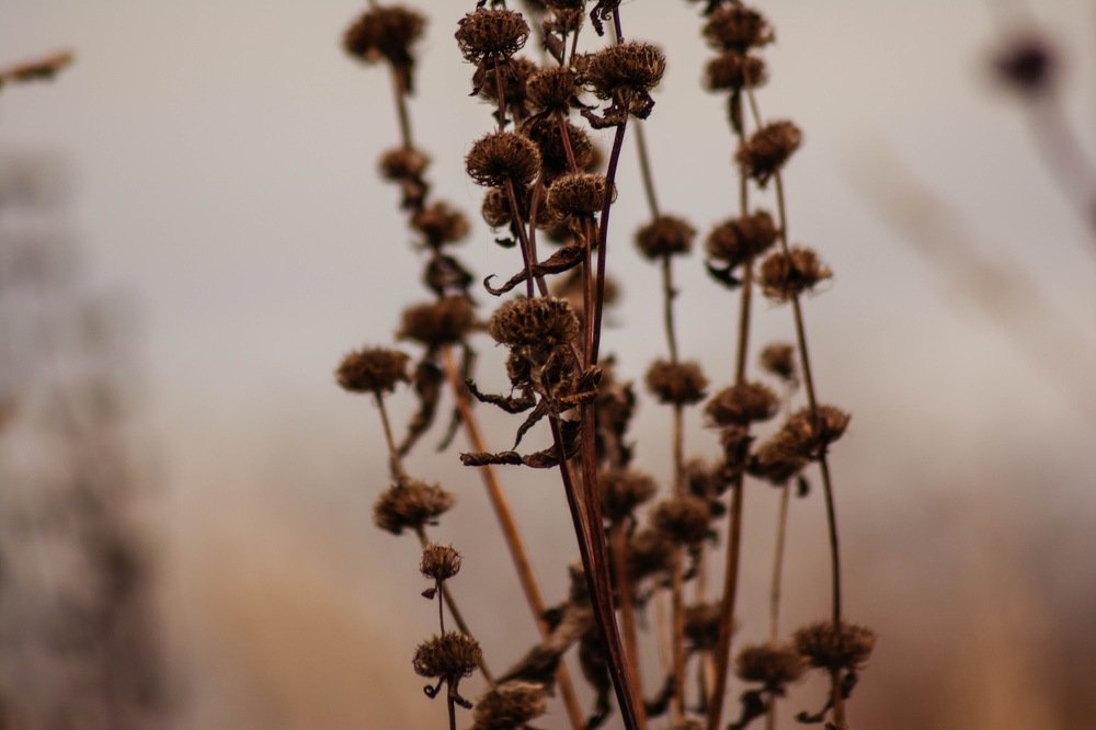 Photograph by Елена Клочкова