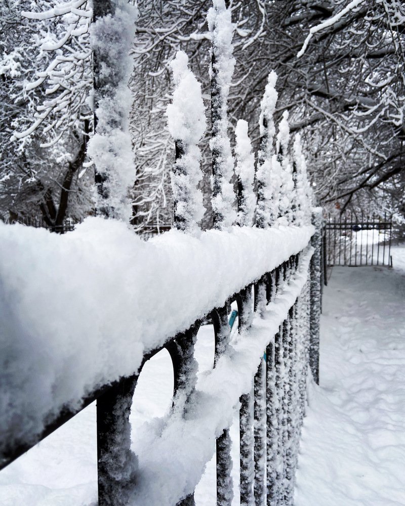 Photograph by Елена Клочкова