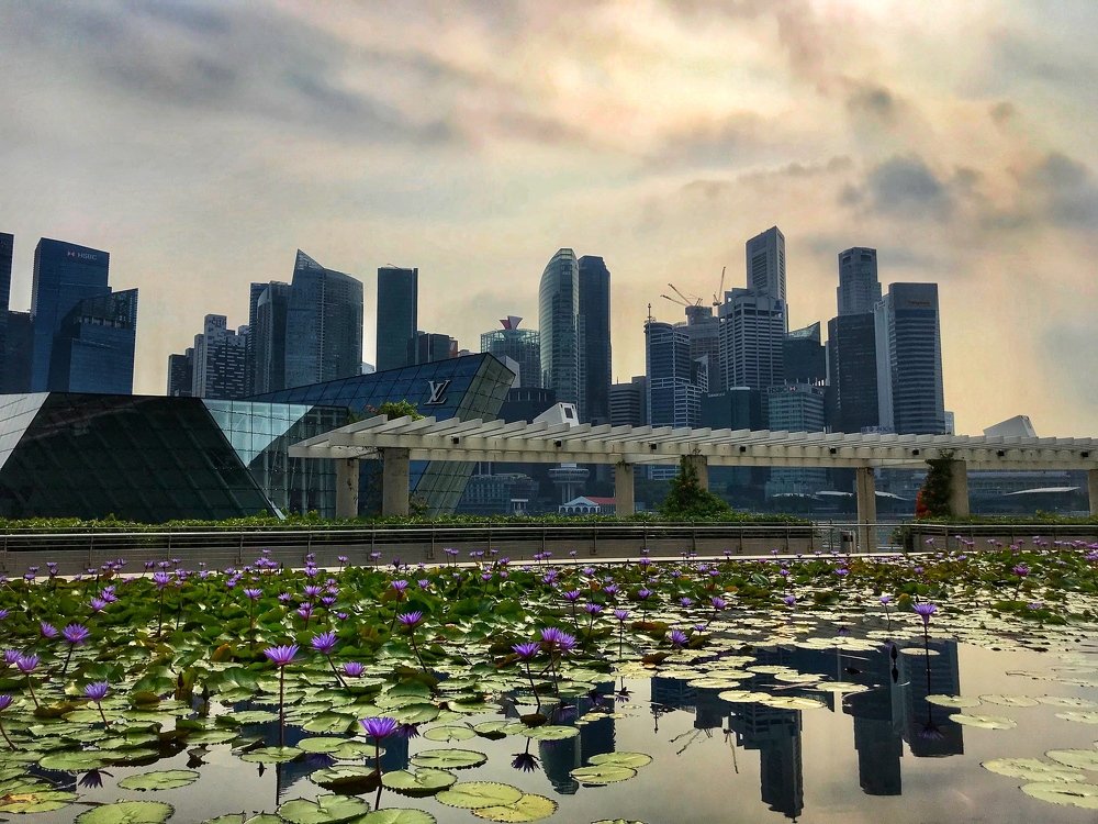 Photograph by Мария Шрейдер