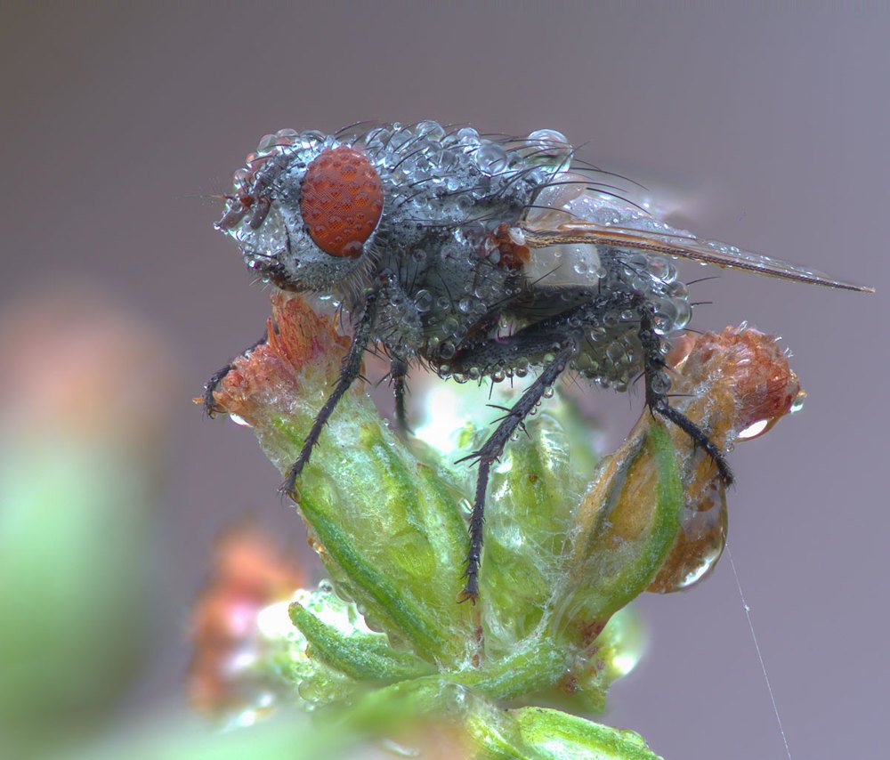 Photograph by Сергей Брагин