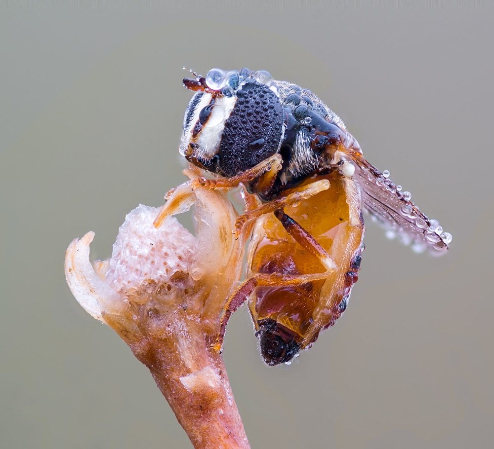 Photograph by Сергей Брагин