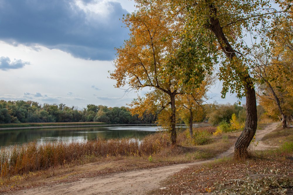 По дороге с облаками