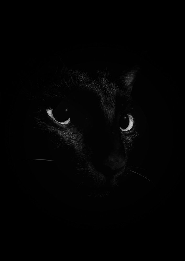 Photograph by sagar pavale