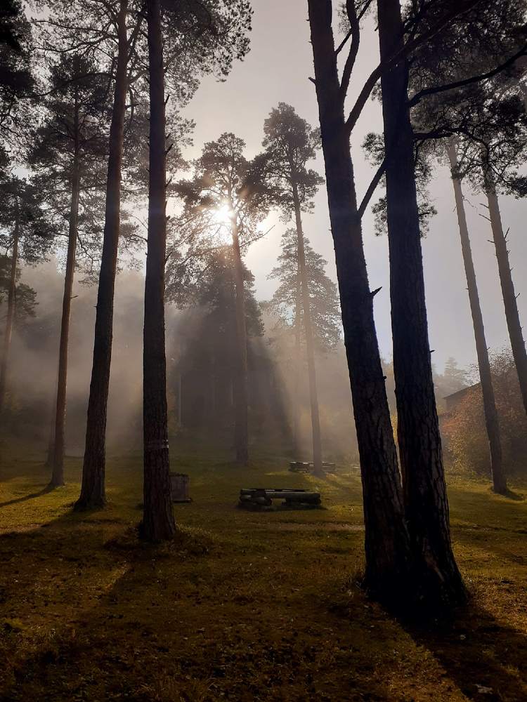 Утро сентября