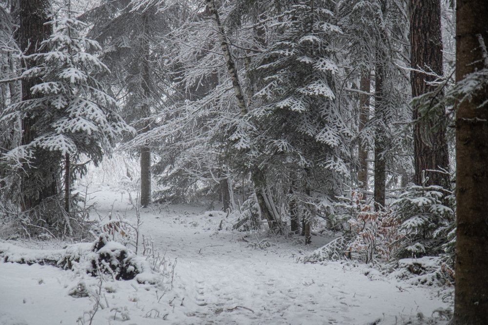 Photograph by Татьяна Бесчастнова