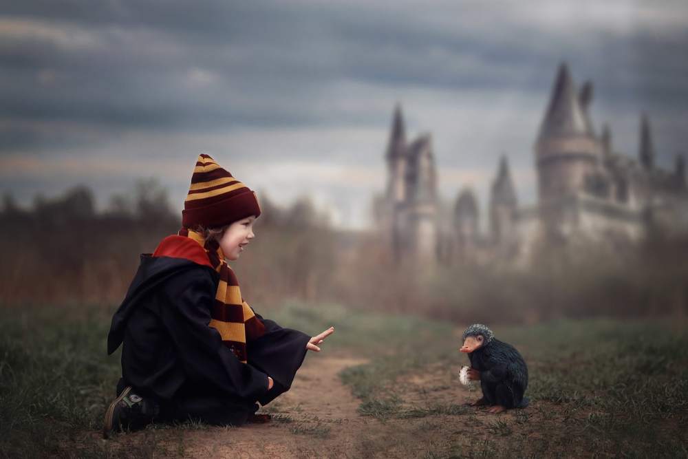 Photograph by Дарья Патук