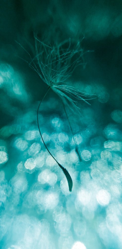 Photograph by Марина Ескова