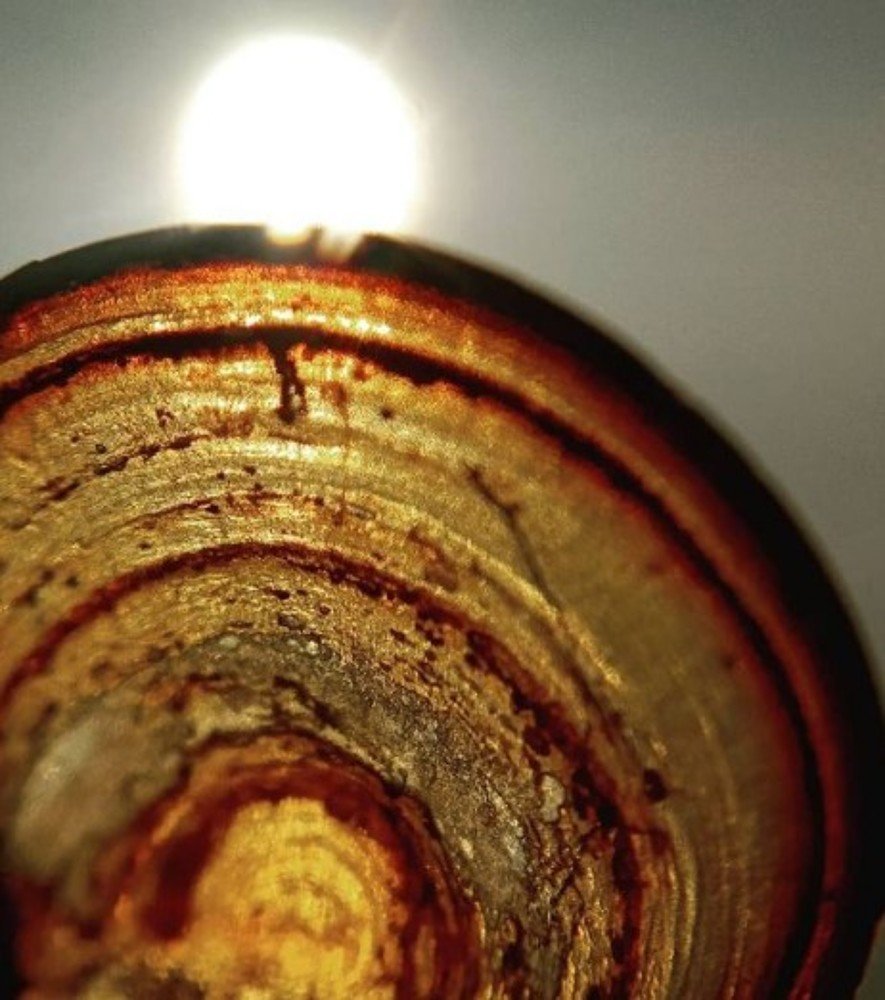 Photograph by Снежана Шепель