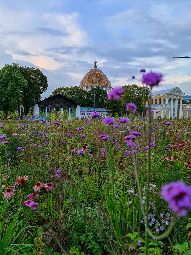 Photograph by Анна Кокарева