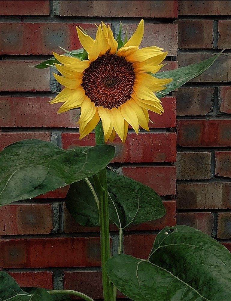 Photograph by Елена Дмитриева