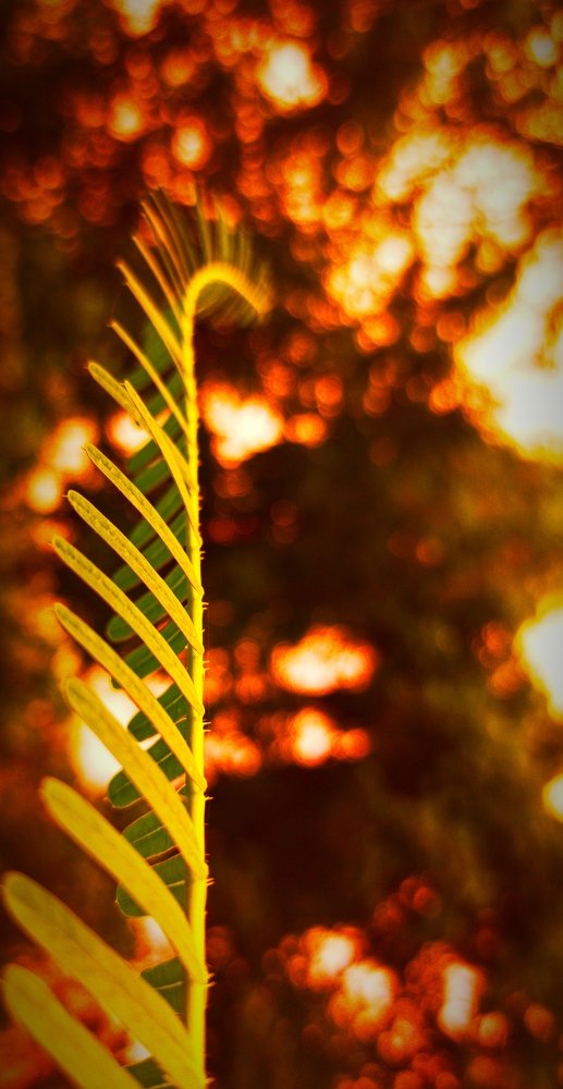 Фотография автора Parag Purkar