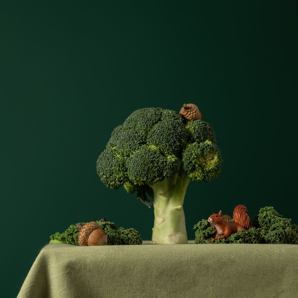 Photograph by Асель Рембекова