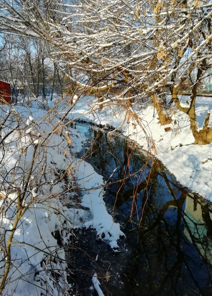 Зимний пейзаж