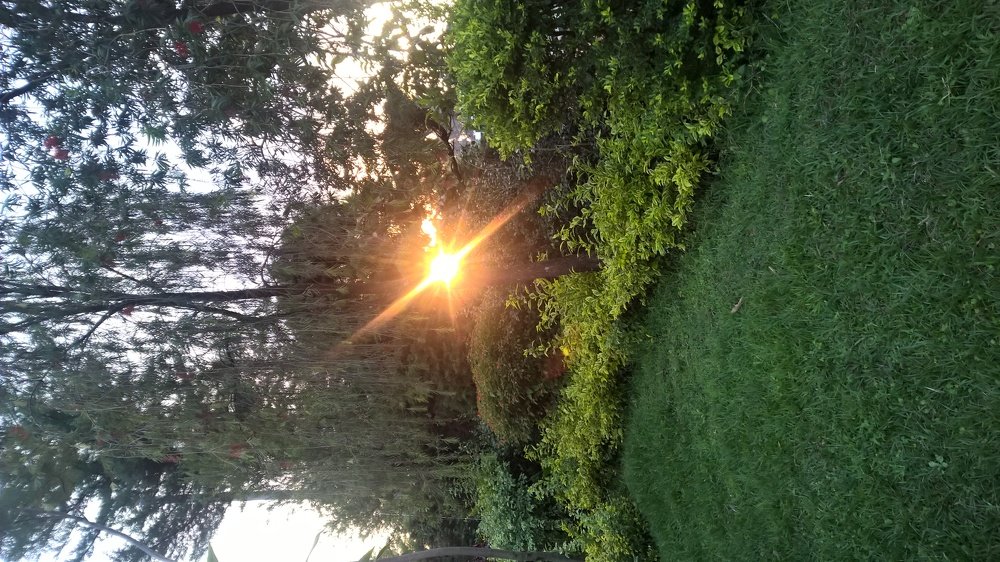 Photo #5396937