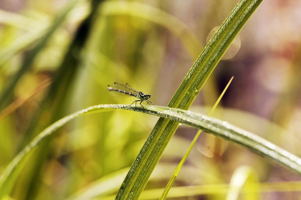 Photograph by Владимир Грицик