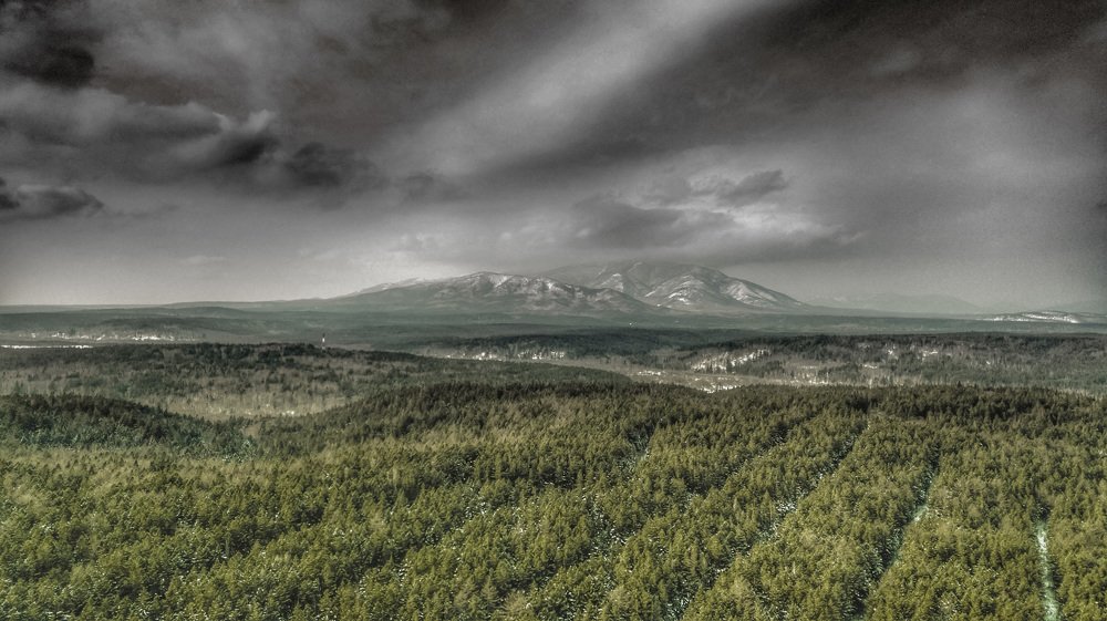 Фотография автора Маргарита Басова