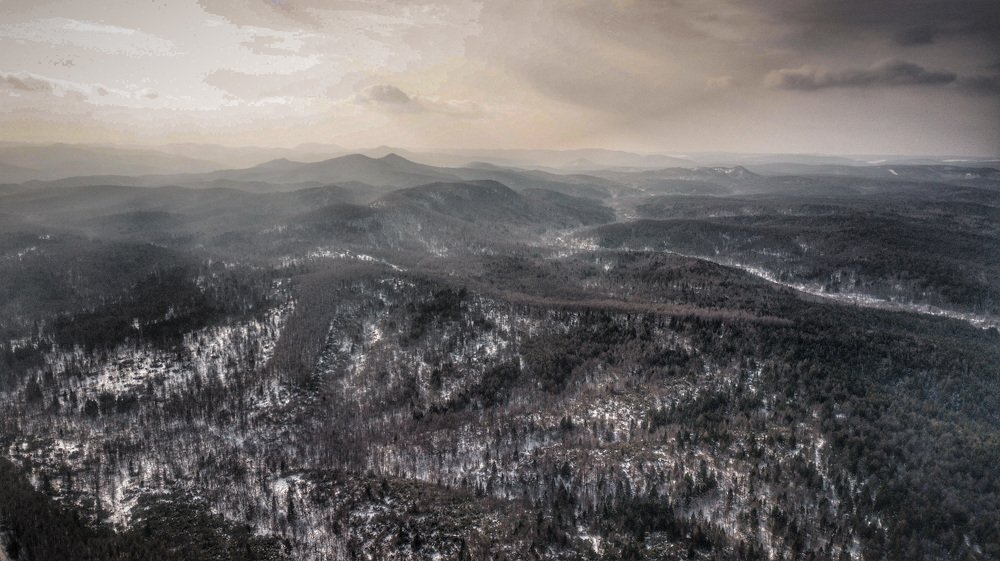 Фотография автора Маргарита Басова