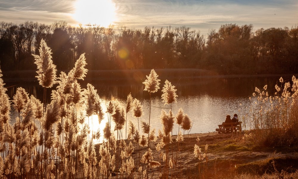 Умиротворение