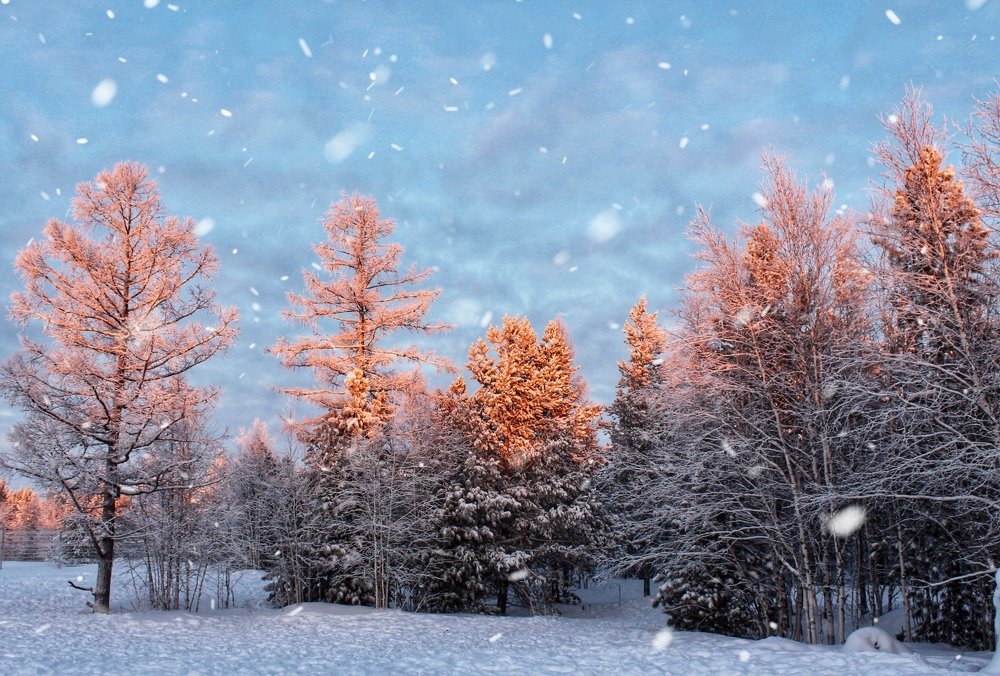 Photograph by Мария Шрейдер