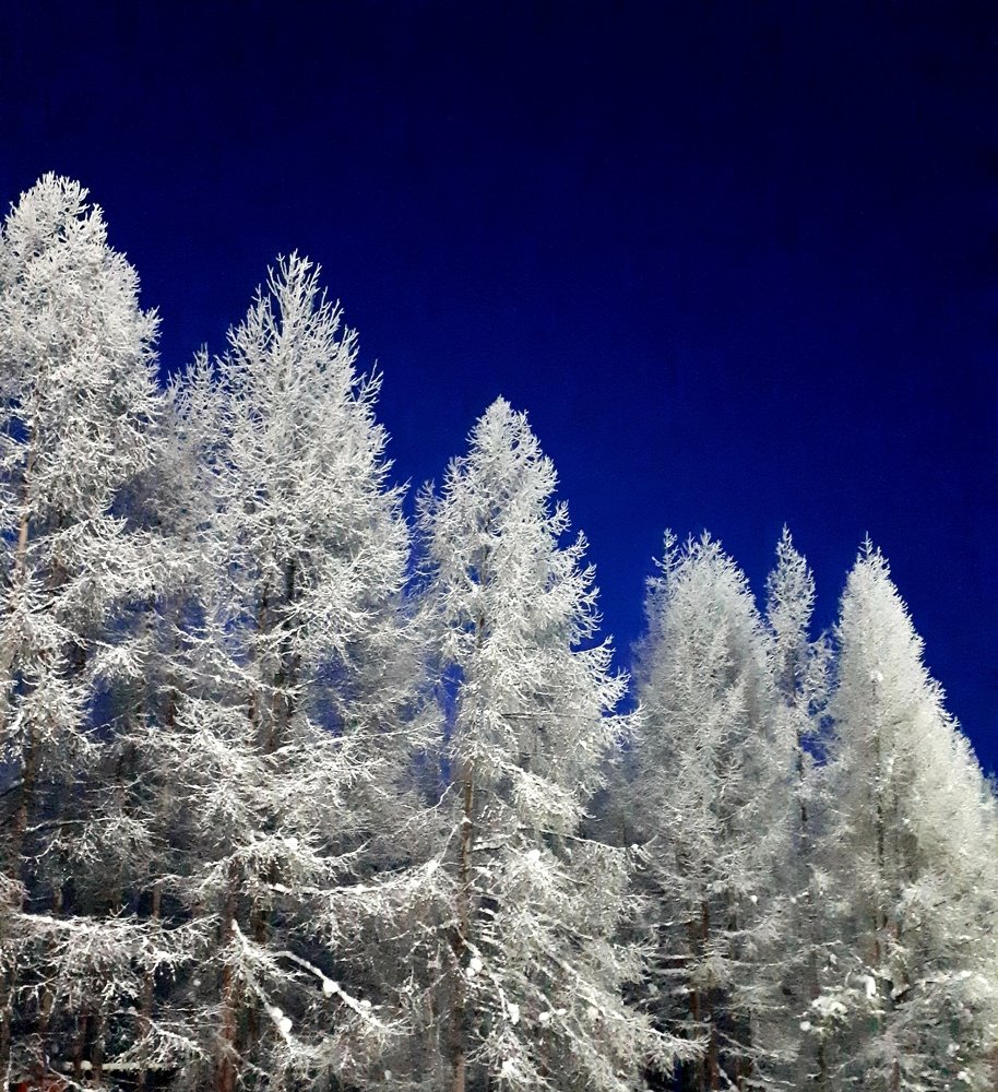 Photograph by Елена Беломестнова