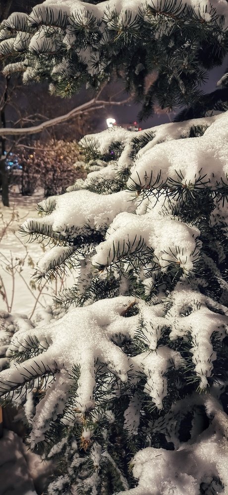 Photograph by Евгения Столярова