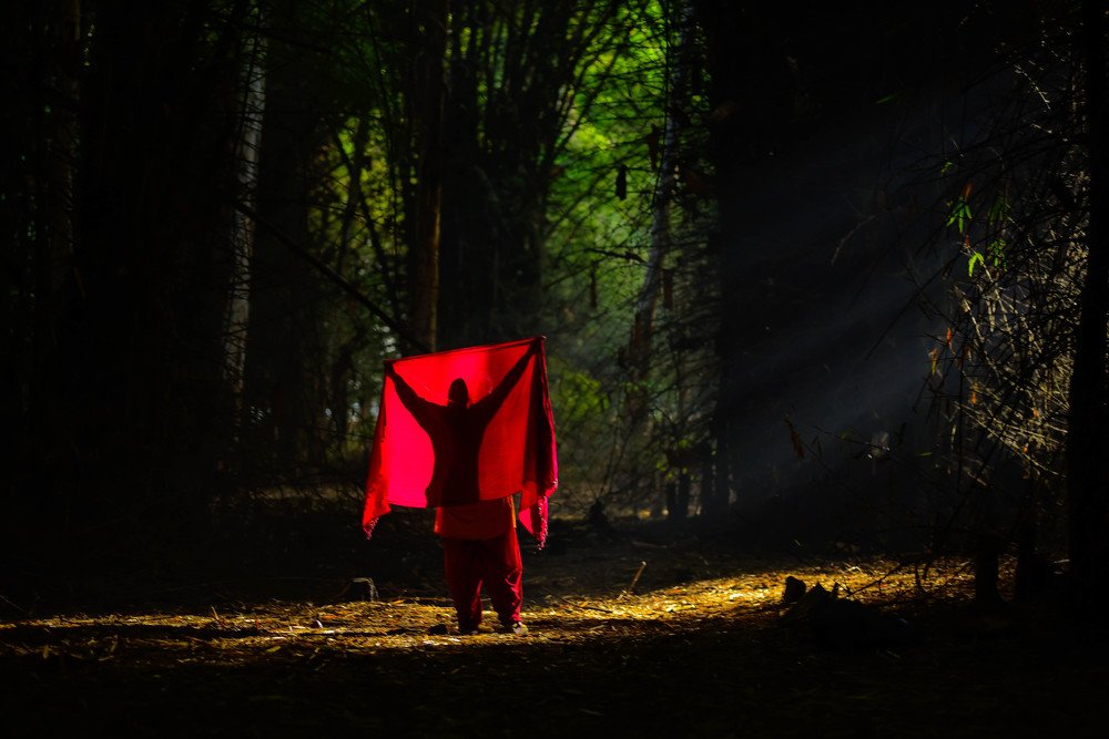 Фотография автора Vijay Richhiya