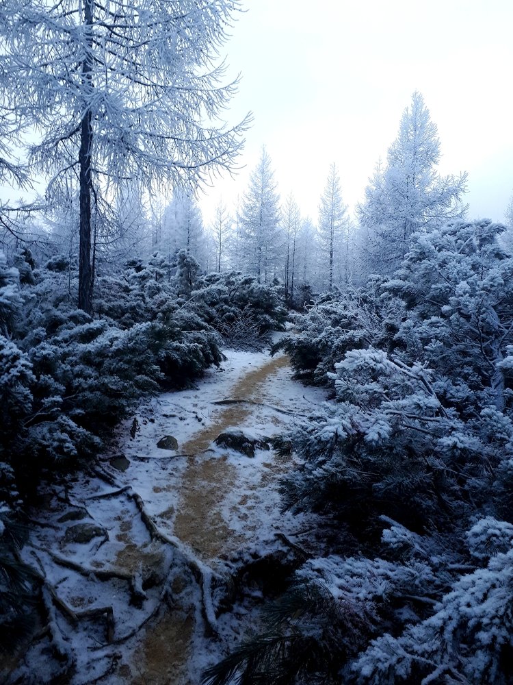 Photo #5397104