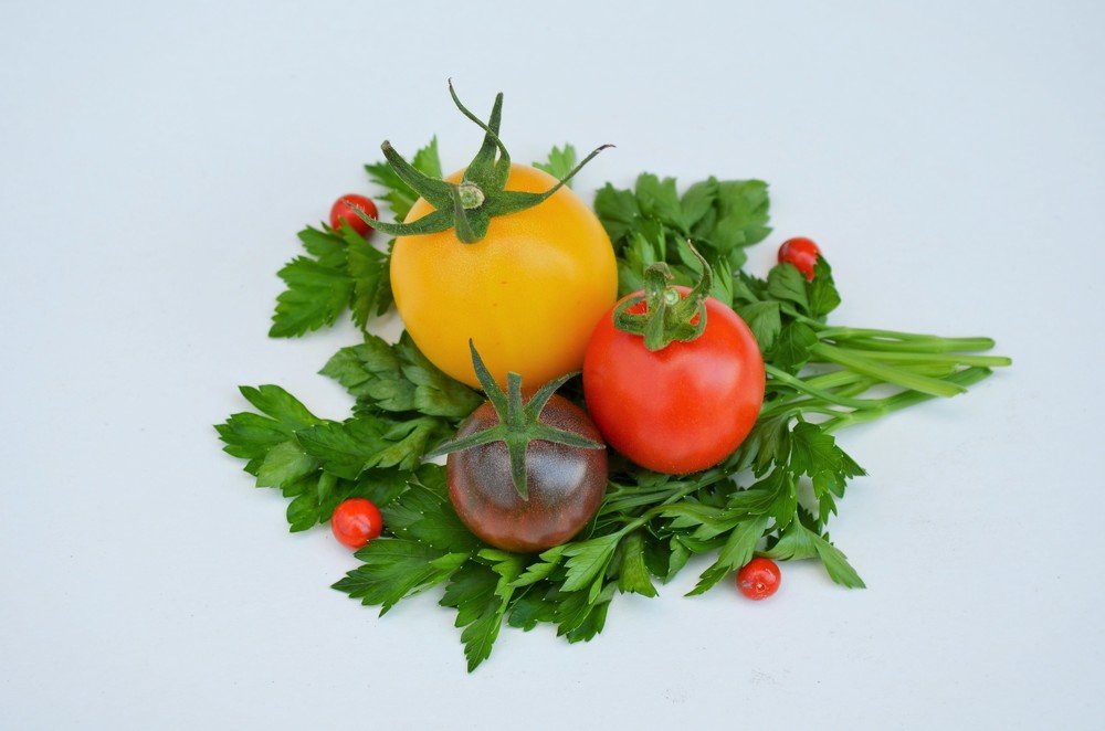 Photograph by София Ланьо