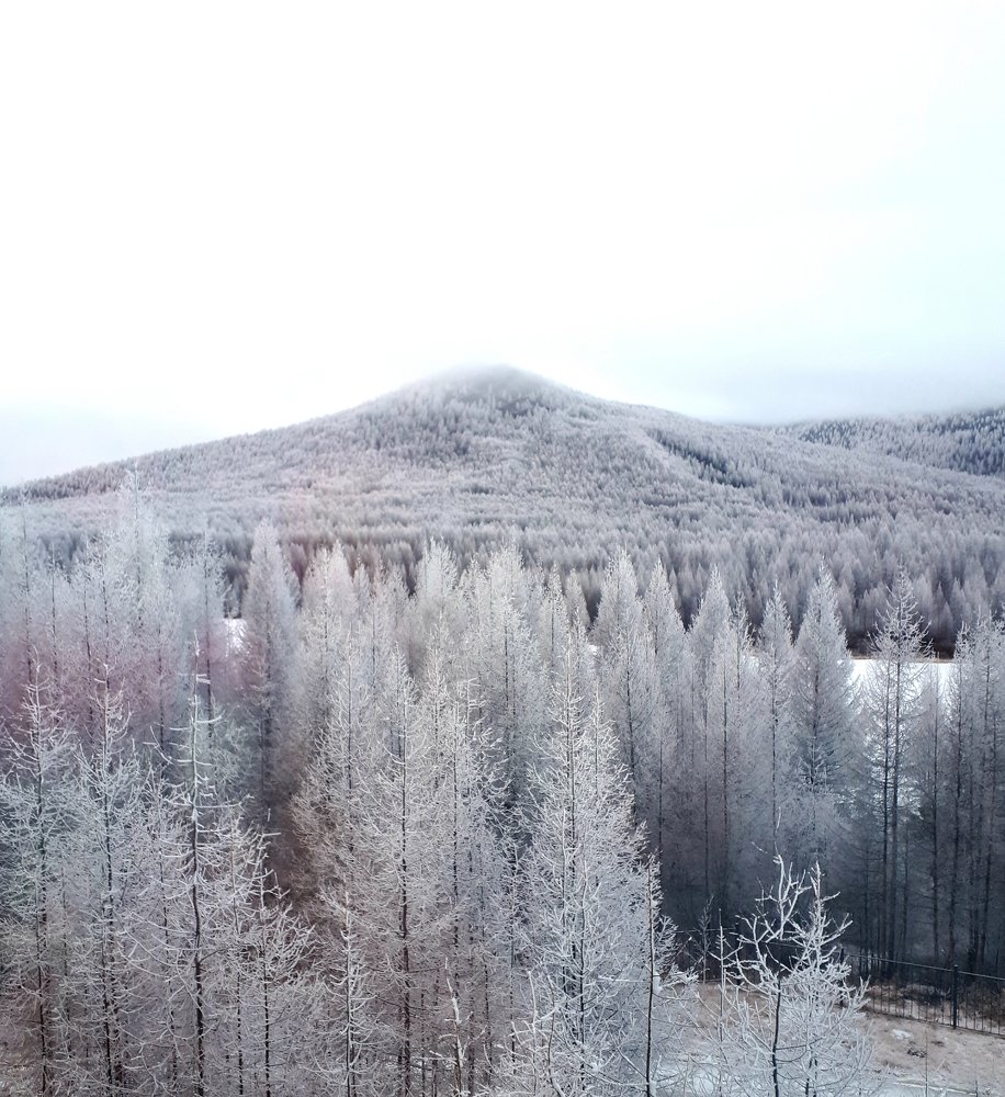 Photo #5397110
