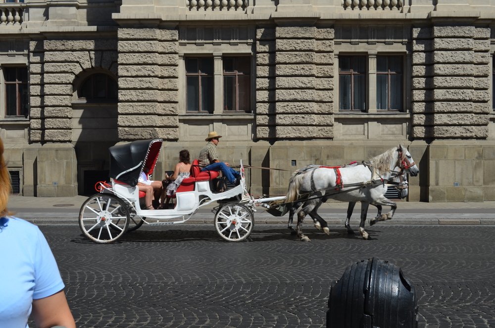 Photograph by София Ланьо