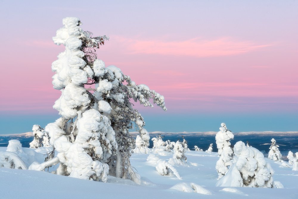 Утро на сопке